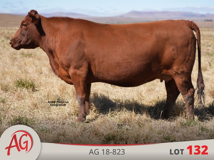 AG180823 | ARTHUR DE VILLIERS & SEUN