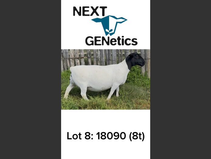 18090 | NEXT GENETICS