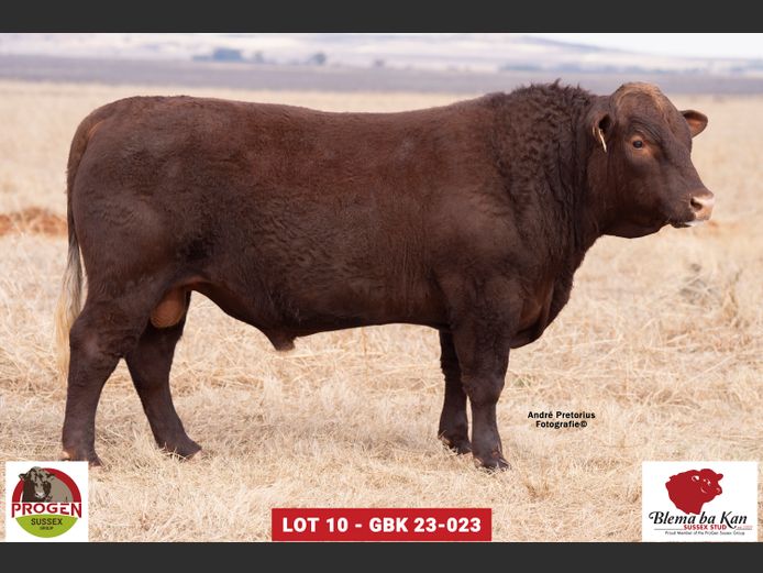 GBK 230023 | G.B. KEYSER