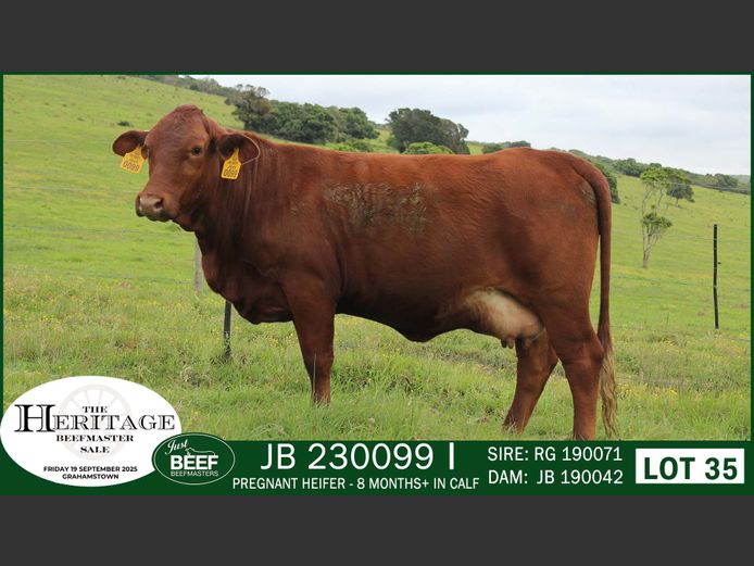 JB  230099 | JUST BEEF