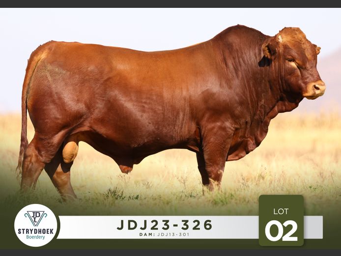 JDJ23-326 | Strydhoek