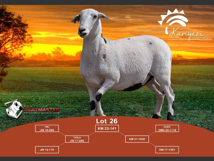 KM 23-141 | Barry & Naledi Roberts - Kanyezi Meatmasters, Nelspoort