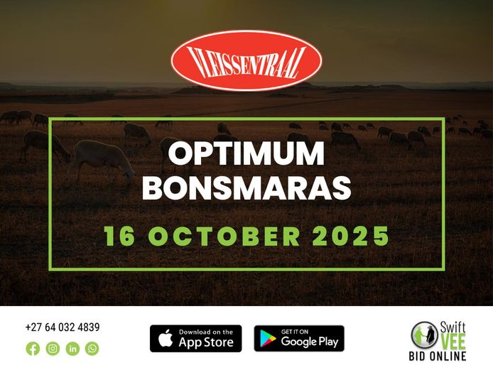 OPTIMUM BONSMARAS VEILING