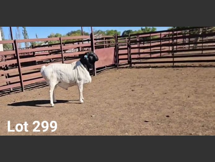 24-110 | Wiese Besigheidstrust