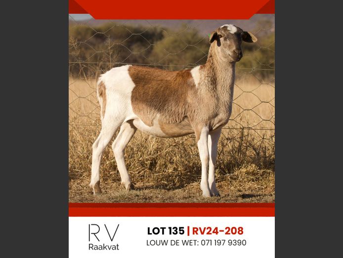 RV24-208 | RAAKVAT BOSVELDERS