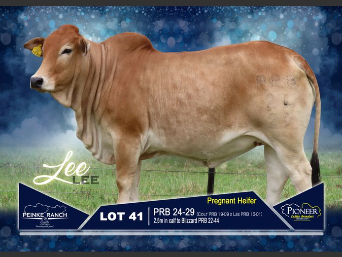 PRB 240029 | PEINKE RANCH