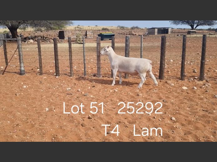 916250292W | R.J. CAHL & SON CC