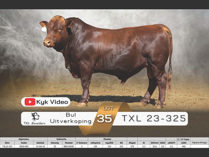 TXL23-325