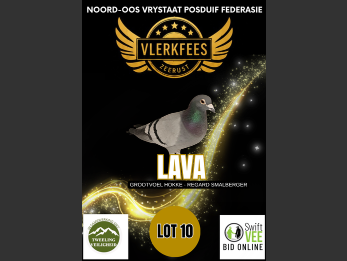LAVA | GROOTVOEL HOKKE - REGARD SMALBERGER