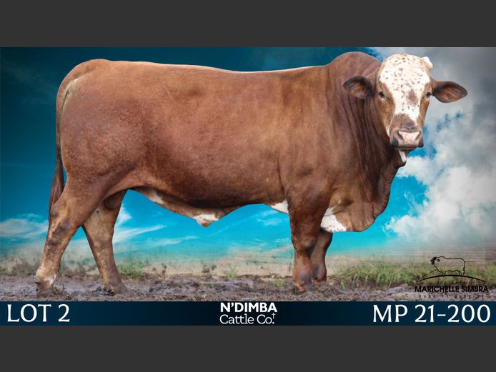 MP21200