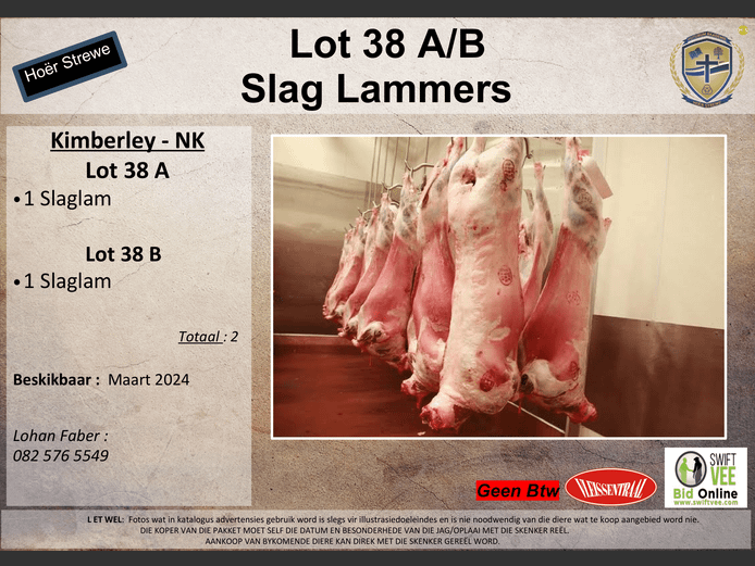 Slag Lammers