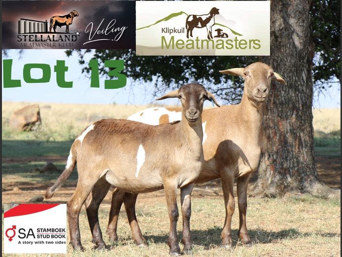 JAD2120 | Klipkuil Meatmasters