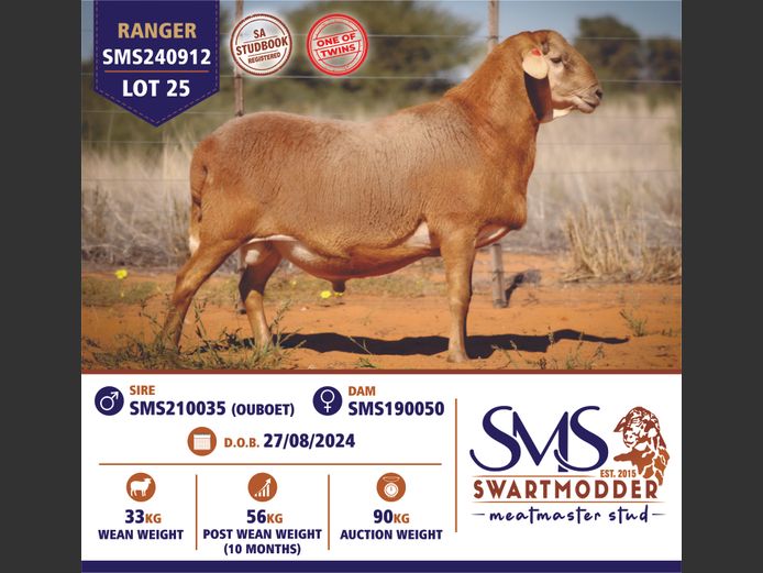 SMS240912 | SWARTMODDER MEATMASTER STUD