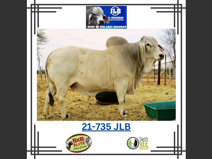 21-0735JLB | JLB BRAHMAN