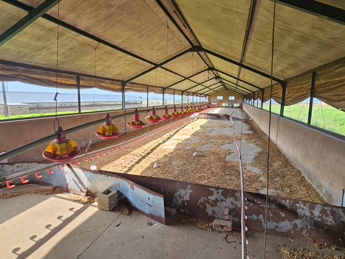 9 x hoenderhokke met Burners ,toerusting en Silo's