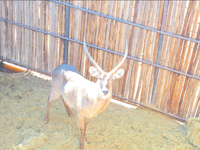 WATERBOK | HANLEY 2
