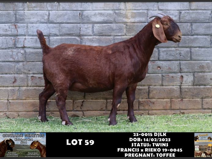 23-0015 DJLK | DIRK LOUW