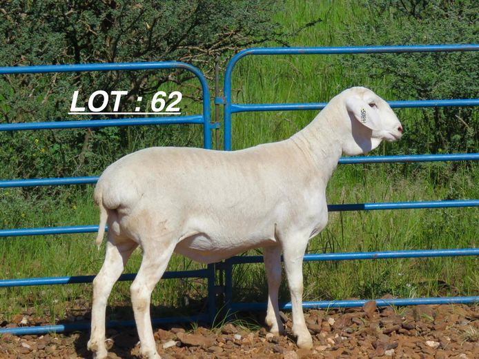 34 25 0084 | Louis v Rensburg h/a Leeuput Trust