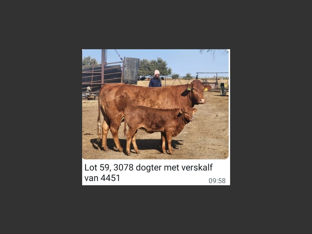 images