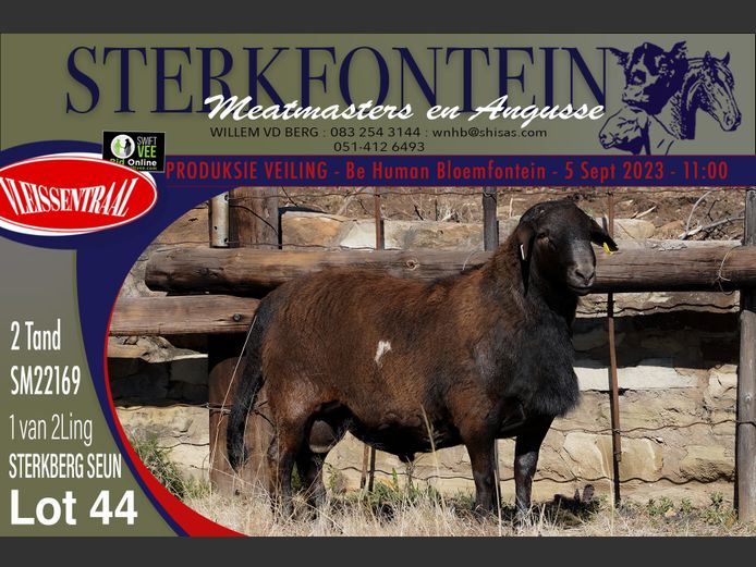 SM 22 169 | Sterkfontein Meatmasters