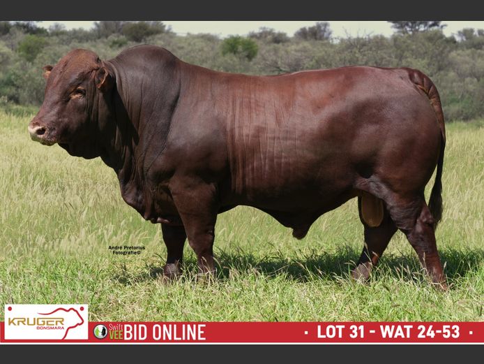 WAT 240053 | KRUGER BOERDERY