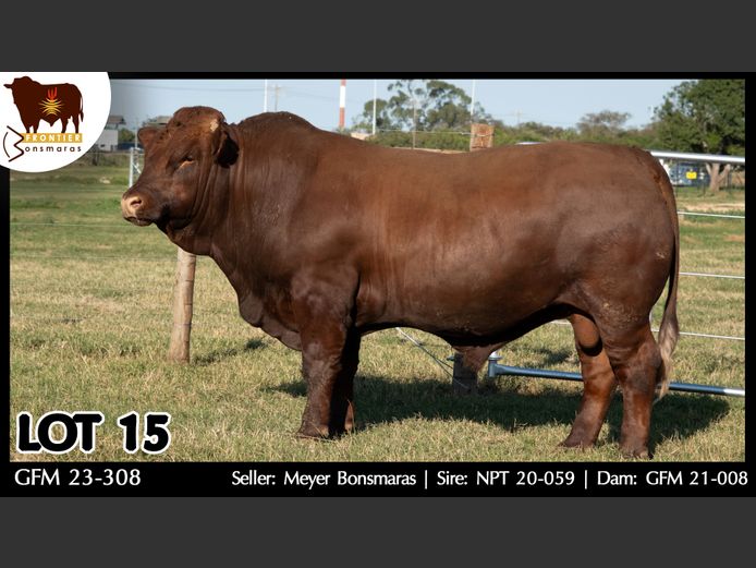 GFM 230308 | MEYER BONSMARAS