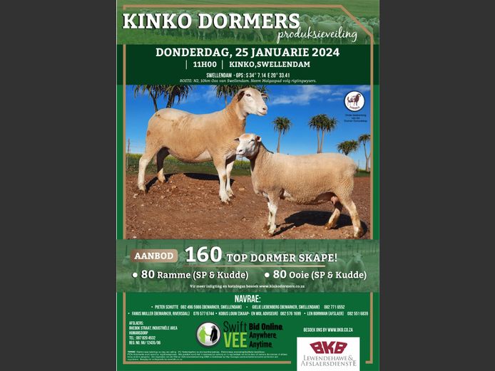 KINKO DORMERS PRODUKSIEVEILING