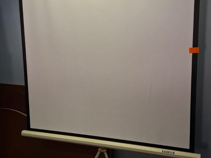 Projector screen
