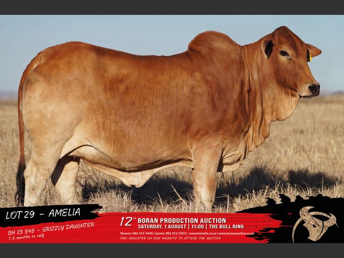 BH 230348 | HURWITZ FARMING