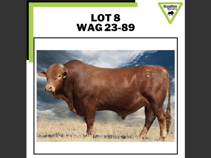 WAG 230089 | WAGNOU BOERDERY