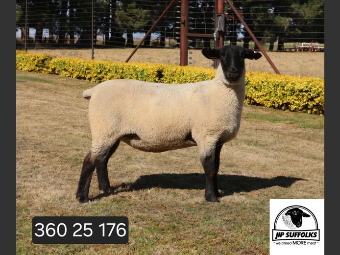 360250176 | J.I. POTGIETER