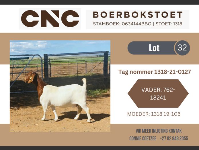 1318210127 | CNC Boerbokstoet