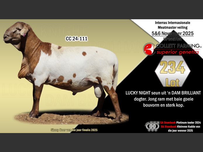 CC 24-111 | SUPERIOR GENETICS