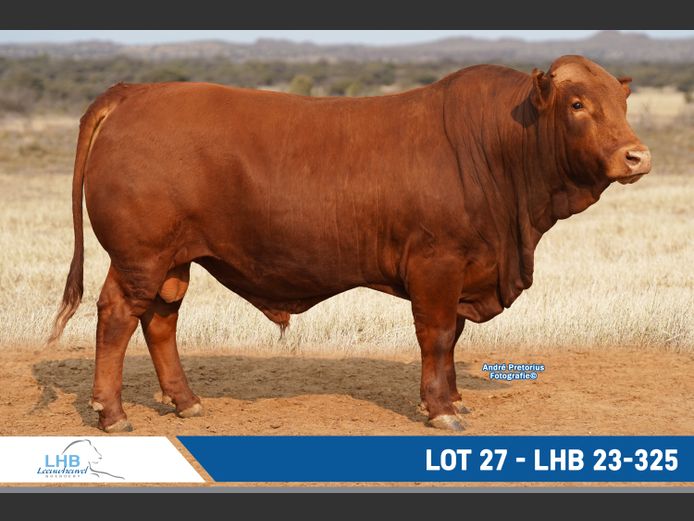 LHB230325 | LEEUHEUWEL BOERDERY (EDMS) BPK