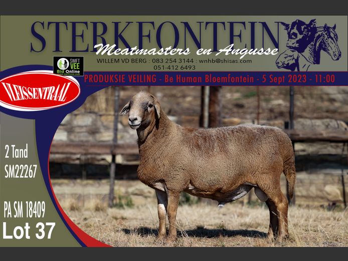 SM 22 267 | Sterkfontein Meatmasters