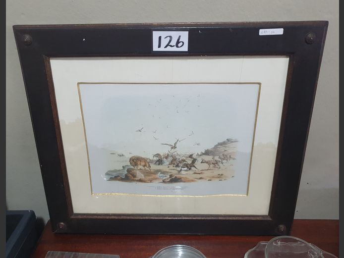 FRAMED PRINT "HYENAS HUNTING", 39 x 29cm