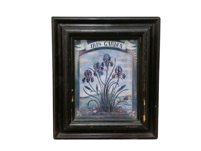 Framed Vintage "Iris Garden" Botanical Wall Art Print