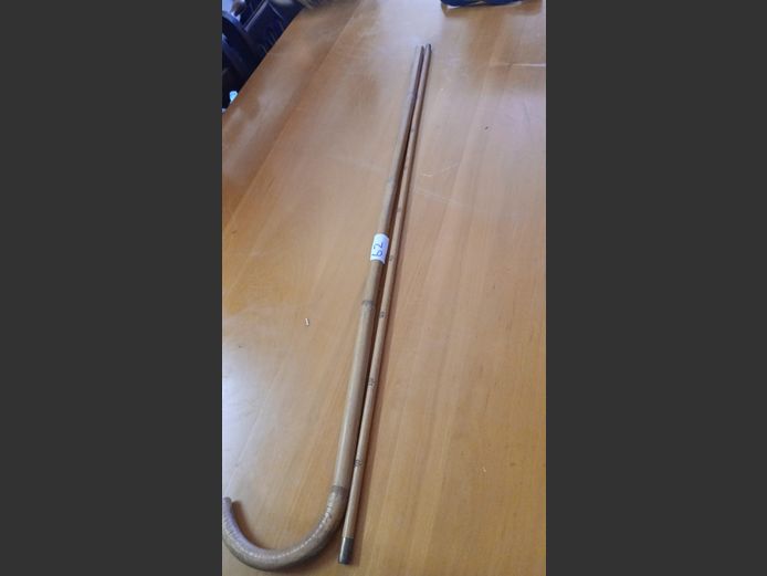Walking sticks