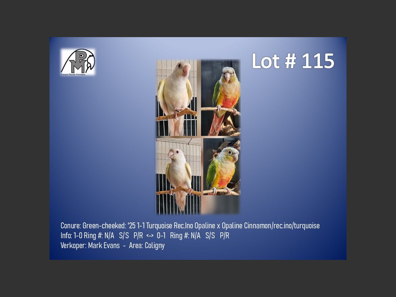 images