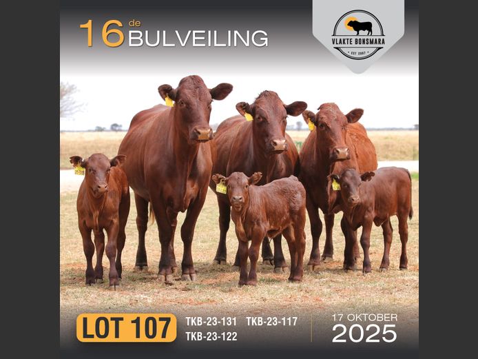 Commercial Animals | TKB BONSMARAS