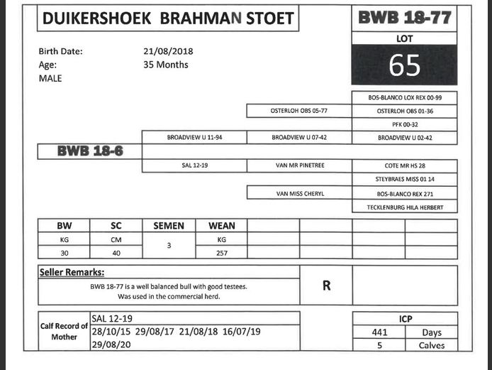 BWB 18-77