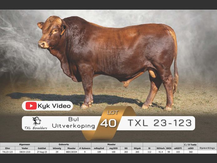 TXL23-123