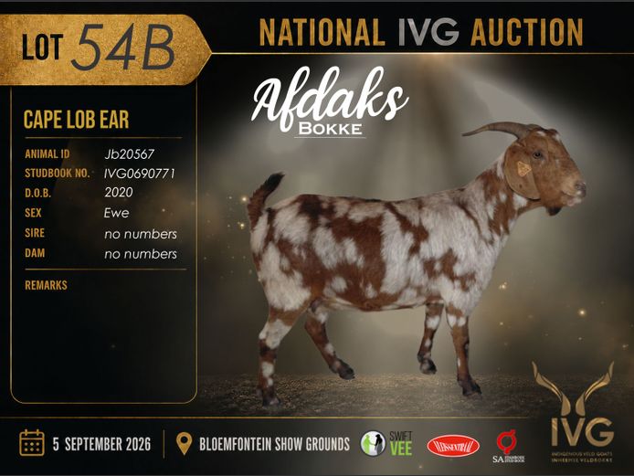 JB20 567 | AFDAKS BOKKE