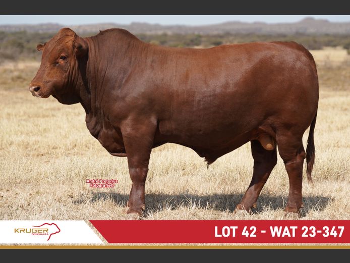 WAT230347 | KRUGER BOERDERY