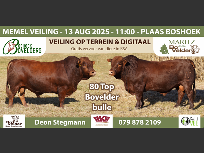 BOSHOEK & MARITZ BOVELDERS VEILING