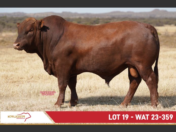 WAT230359 | KRUGER BOERDERY