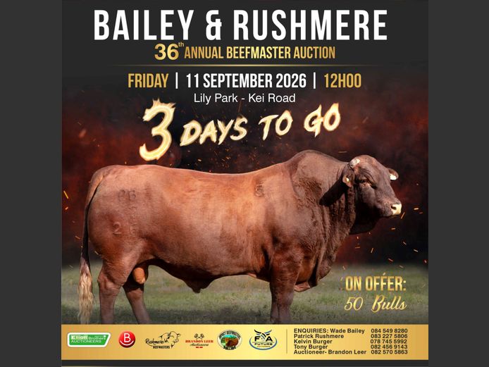 BAILEY & RUSHMERE 36TH ANNUAL BEEFMASTER BULL AUCTION