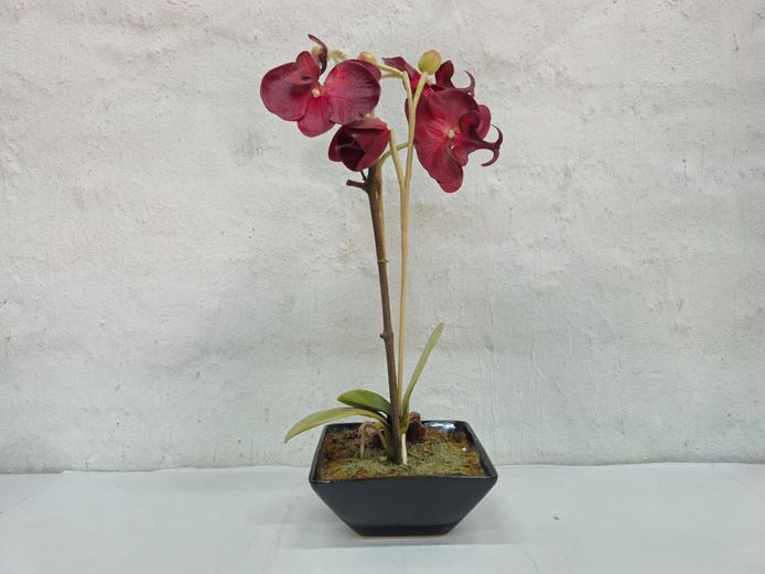 Artificial Orchid Arrangement in Black Ceramic Pot