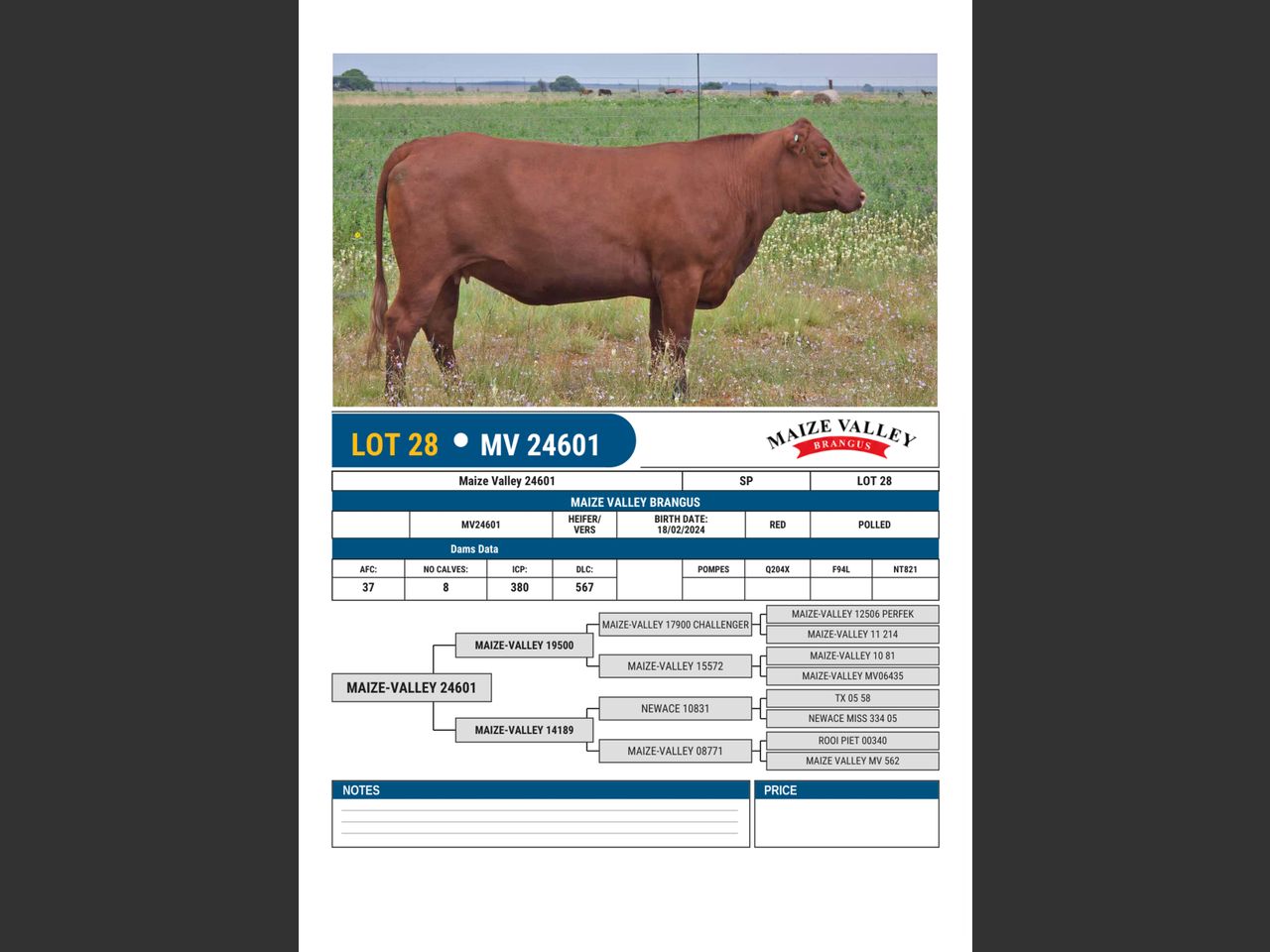 images