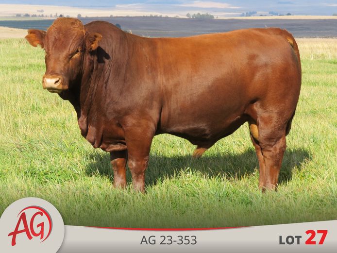 AG230353 | ARTHUR DE VILLIERS & SEUN